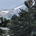 De Luxe (Делюкс с террасой), Гостевой дом Chalet Monte’