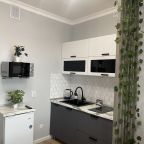 Мини-кухня, Апартаменты Apartament Novokoltsovsky