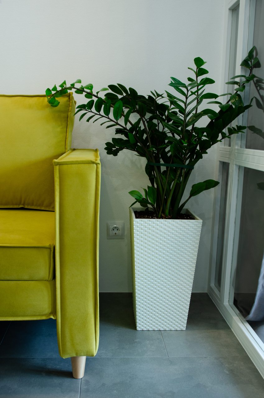 Апартаменты (ЛЮКС #RETRO ✨ВЫСОЦКИЙ - ЗАКАТЫ САМАРЫ✨), Апартаменты PAIKKA