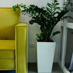 Апартаменты (ЛЮКС #RETRO ✨ВЫСОЦКИЙ - ЗАКАТЫ САМАРЫ✨), Апартаменты PAIKKA