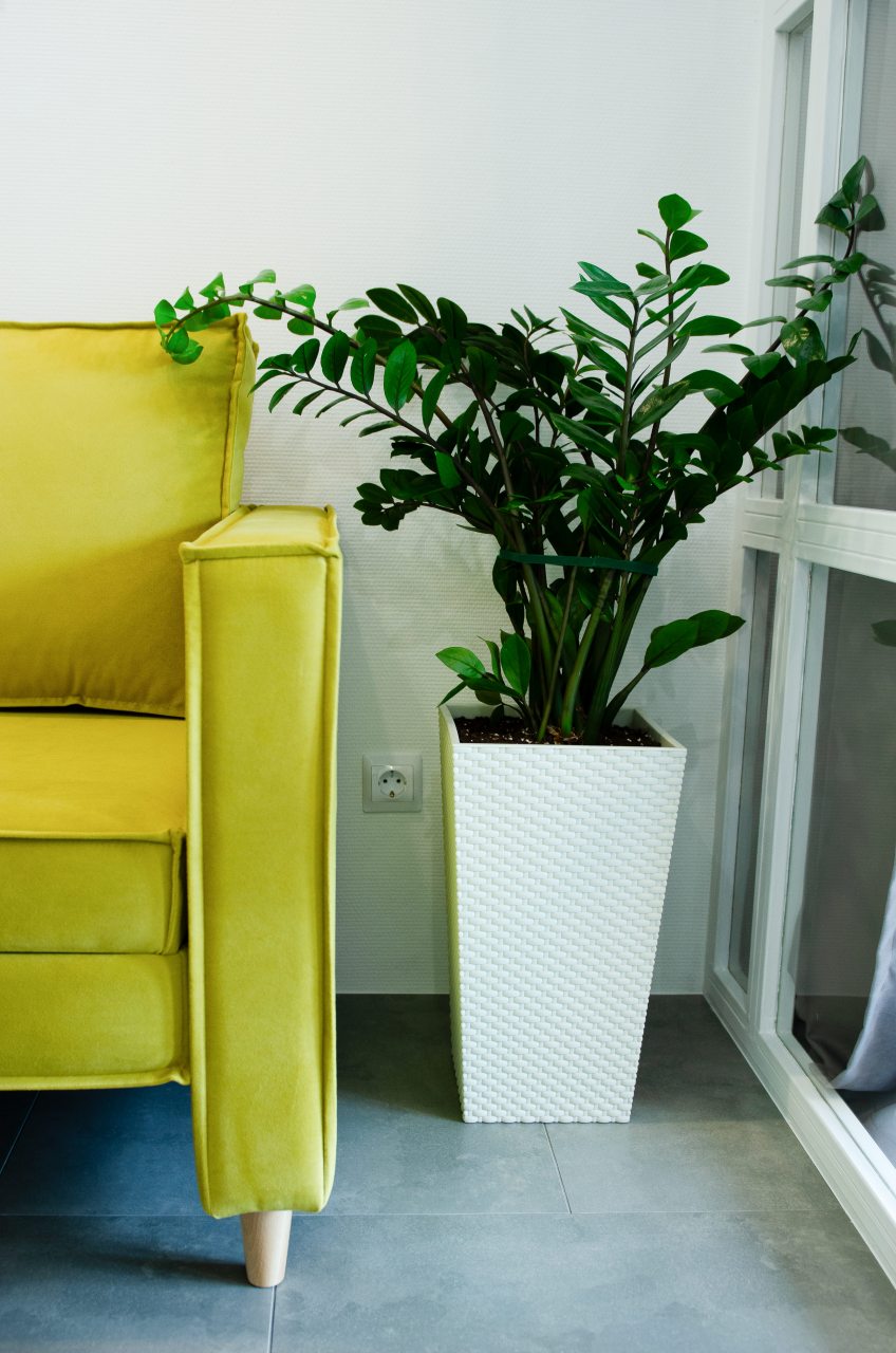 Апартаменты (PAIKKA #RETRO ВЫСОЦКИЙ - ЗАКАТЫ САМАРЫ), Апартаменты PAIKKA