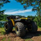 Разрешено проведение мероприятий, База отдыха Рыжий кот