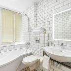 Трехместный (Полулюкс), Отель Байка Московское