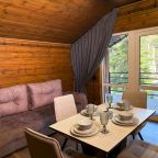 Апартаменты (Апартаменты с видом на горы), База отдыха Куранты Village
