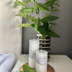 Апартаменты (Студия VV Apart у метро Котельники на Сосновой 5), Апартаменты VV Apart на улице Сосновая 5