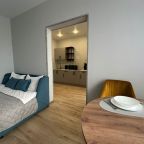 Двухместный (Просторная квартира), Апартаменты ApartsLounge на ул. Рождественская