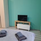 Квартира (Двухместная студия для работы и отдыха), Апартаменты Дизайнерские Good Sleep на Березовой 6/2