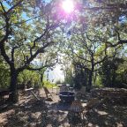 Дом (А-фрейм "Маяк"), Кемпинг Очаг