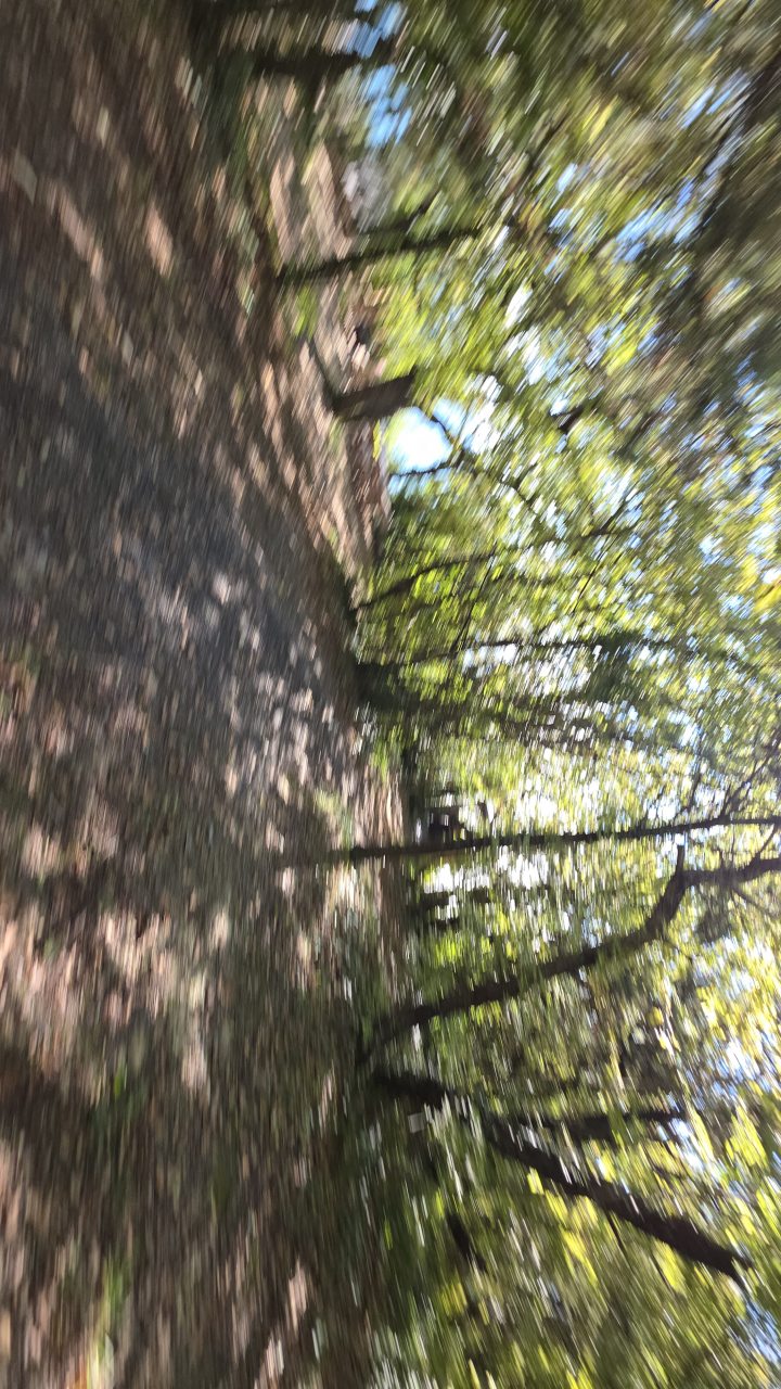 Дом (А-фрейм 