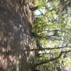 Дом (А-фрейм 