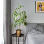 Двухместный (Рим), Апартаменты Home24 у метро Бутырская