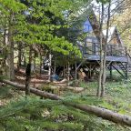 А-фрейм 1, просторный уютный дом-студия