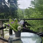 хребет Абишир-Ахуба, Кемпинг Счастливый лось