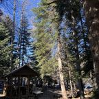 Беседка с мангалом