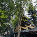 Коттедж (А-фрейм 3), Кемпинг Счастливый лось