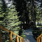 А-фрейм в лесу