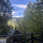 Вид из панорамного окна и террасы