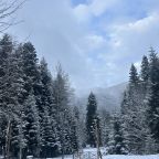 Коттедж (А-фрейм 1), Кемпинг Счастливый лось