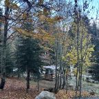 Коттедж (А-фрейм 1), Кемпинг Счастливый лось