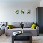 Трёхместный и более (Апартаменты В Минуте От Парка Галицкого), Апартаменты Уютные в минуте от парка Галицкого