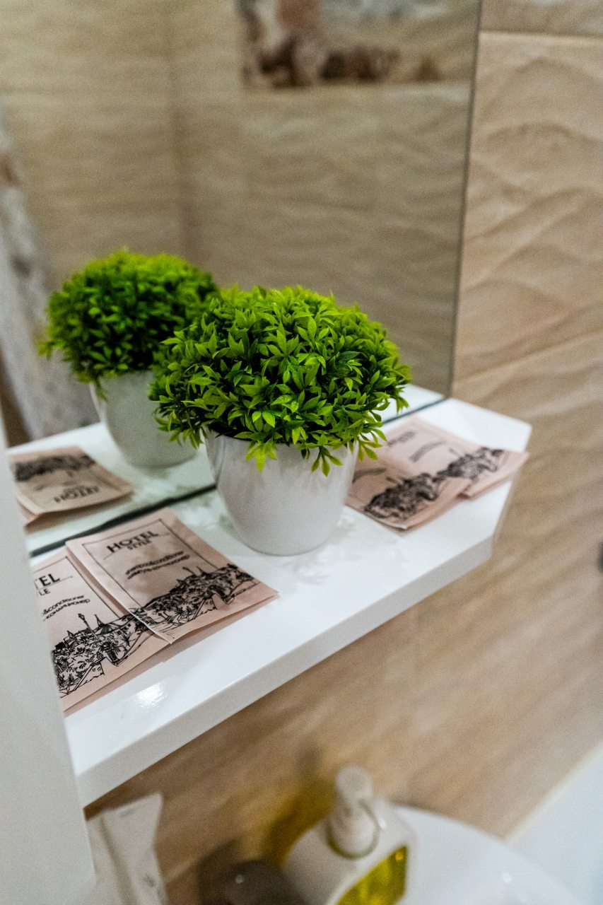 Апартаменты (С Видом На Парк Галицкого (Стадион)), Апартаменты С Видом На Стадион Галицкого