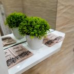 Апартаменты (С Видом На Парк Галицкого (Стадион)), Апартаменты С Видом На Стадион Галицкого