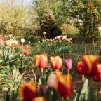 Своя ухоженная территория, Гостевой дом Лидия