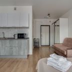 Трёхместный и более (Просторная студия 75), Апартаменты ApartsLounge