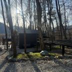 Объект находится в лесу, База отдыха Шёпот Леса