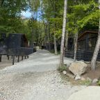 Объект находится в лесу, База отдыха Шёпот Леса