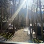 Объект находится в лесу, База отдыха Шёпот Леса