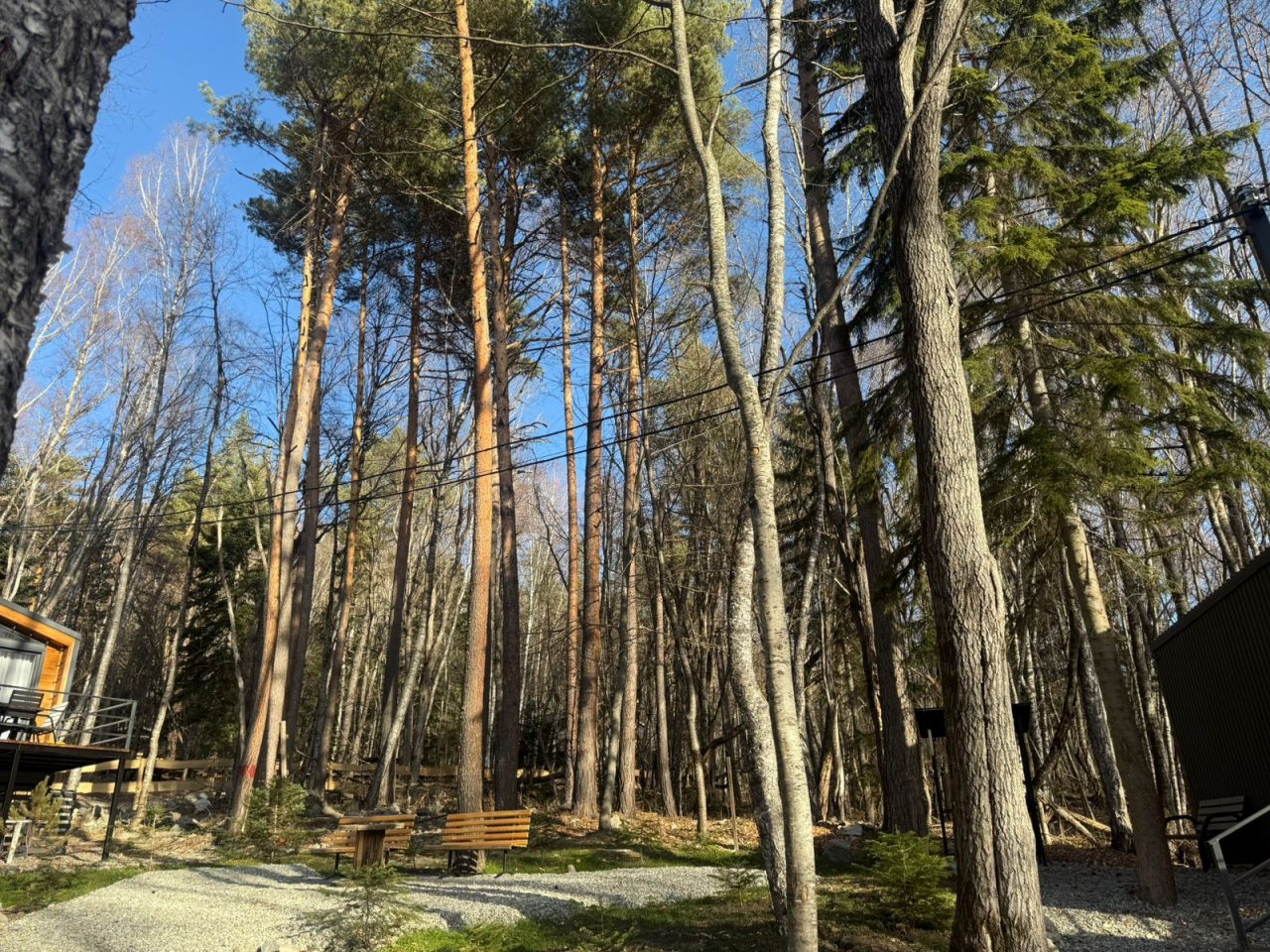 Объект находится в лесу, База отдыха Шёпот Леса