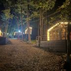 Объект находится в лесу, База отдыха Шёпот Леса