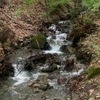 Дом (С видом на лес), База отдыха Шёпот Леса