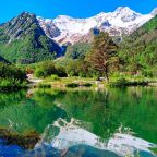 Казбек, Апартаменты Лофт Московский квартал