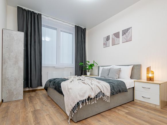 Апартаменты Уютная евро 2-комнатные у Планеты