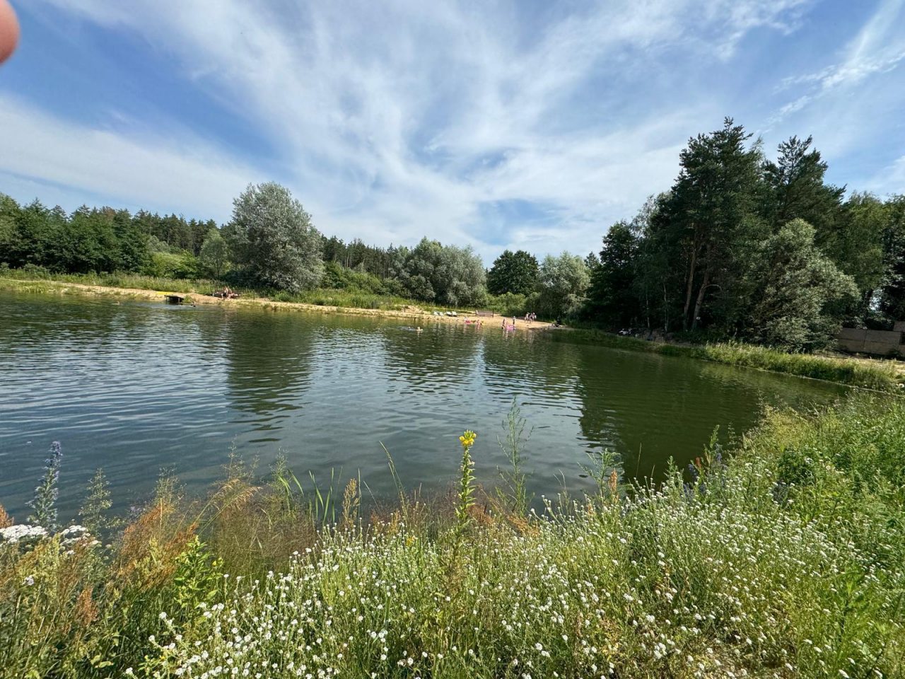 Коттедж (Загородная вилла в лесу), Загородная вилла в лесу