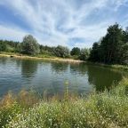 Коттедж (Загородная вилла в лесу), Загородная вилла в лесу