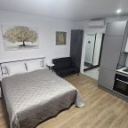 Студио (Апартаменты-студио с видом на город и Останкинскую башню), Апартаменты Сокольники Студия на 19-м этаже