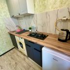 Двухместный, Апартаменты Белгородского Полка 44