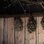 Сила Вместе, Отель Forest Hills Golf Resort By Moss