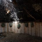 Сила Вместе, Отель Forest Hills Golf Resort By Moss