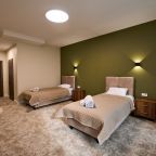 Двухместный (Стандартный Однокомнатный Номер с двумя раздельными кроватями), Отель Panoramic SPA Hotel