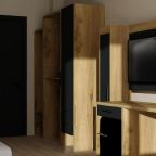 Полулюкс (Трехместный), Отель Питиунт