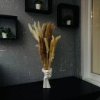 Апартаменты (Там где уютно ну ул.Левина 8), Апартаменты Там где уютно на Левина 8