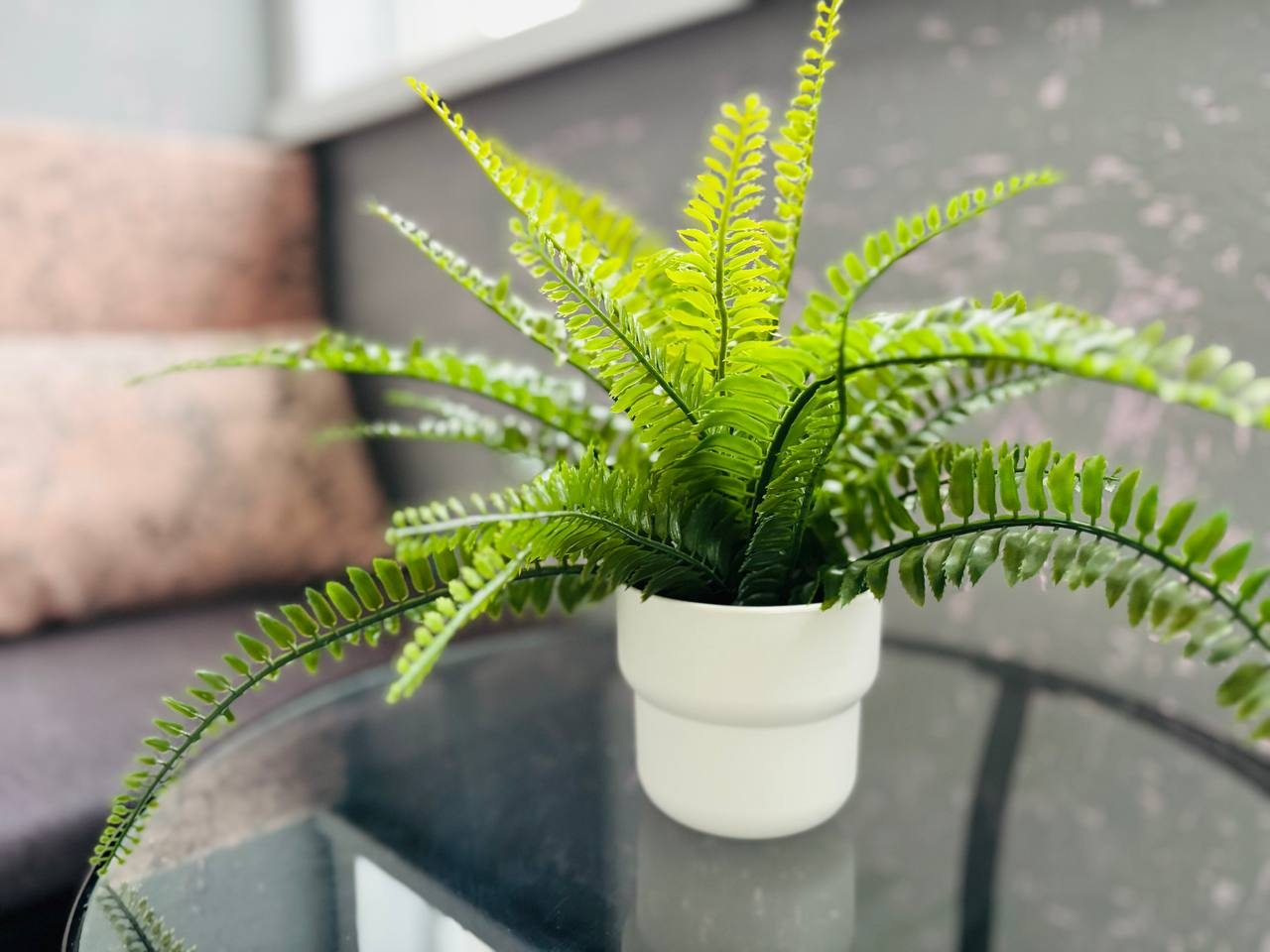 Апартаменты (Там где уютно ну ул.Левина 8), Апартаменты Там где уютно на Левина 8