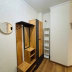 Апартаменты (Там где уютно Студия на пр-те Энтузиастов), Апартаменты Там где уютно на проспекте Энтузиастов