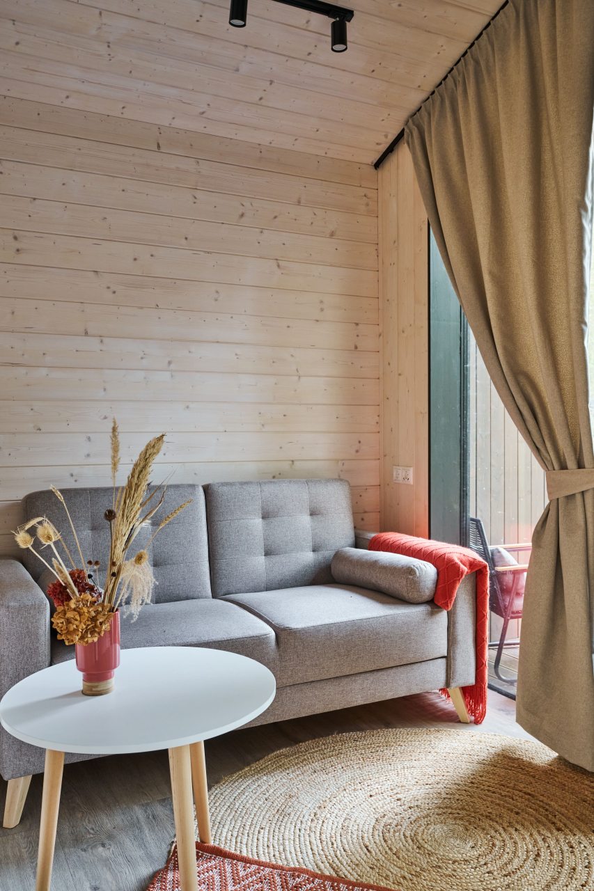 Дом (FOREST HYGGE ДОМ C BBQ ПАТИО), Загородный отель Эмбиент парк