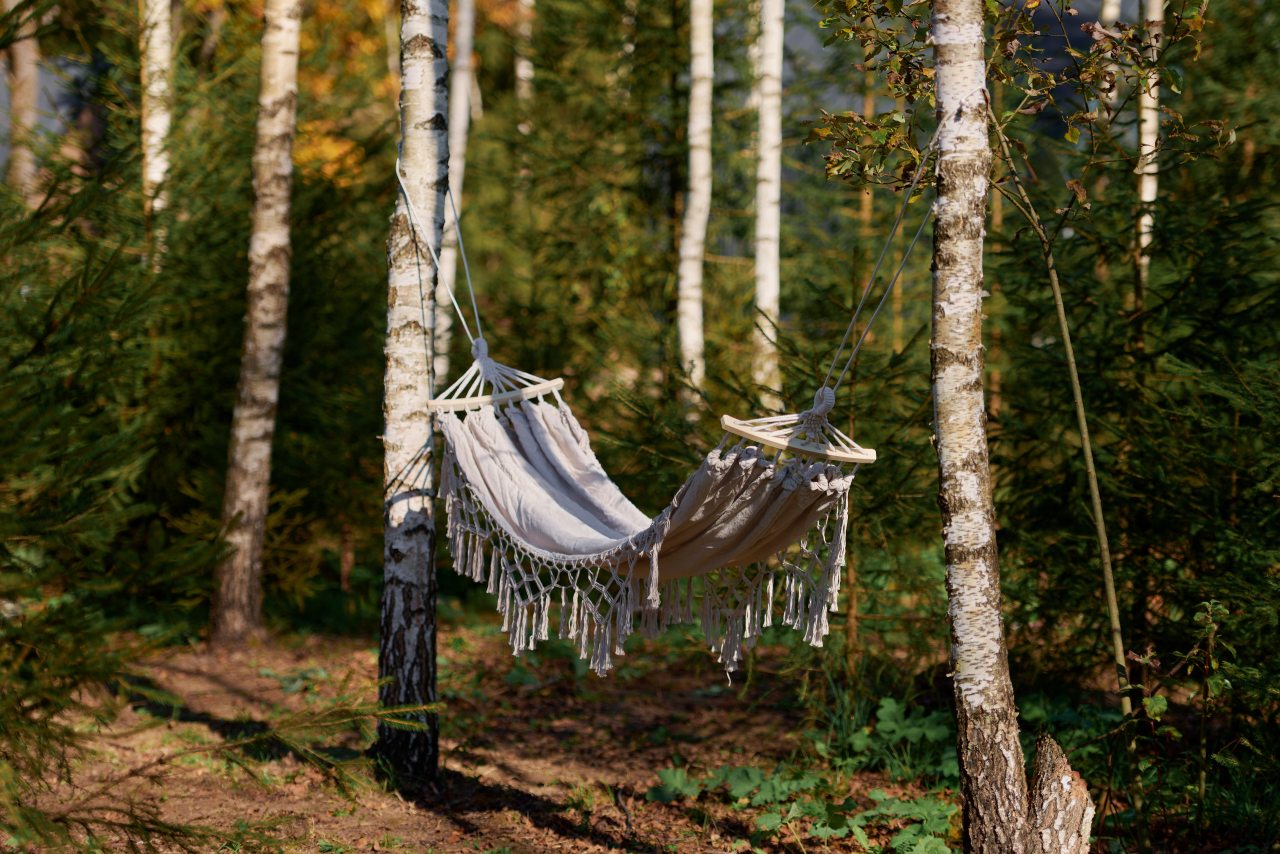 Дом (FOREST SCANDY ВИЛЛА С МАНГАЛЬНОЙ ЗОНОЙ), Загородный отель Эмбиент парк