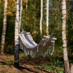 Дом (FOREST SCANDY ВИЛЛА С МАНГАЛЬНОЙ ЗОНОЙ), Загородный отель Эмбиент парк